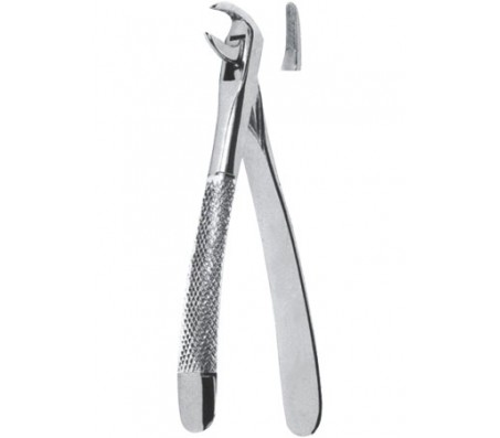 Extracting Forceps